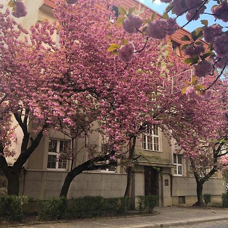 Апарт-Отель "Галаговъ" Uzhhorod Εξωτερικό φωτογραφία